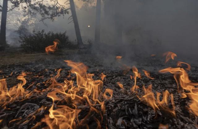 南加州|美国加州大火肆虐：烧毁61万亩土地，近8000人被迫撤离