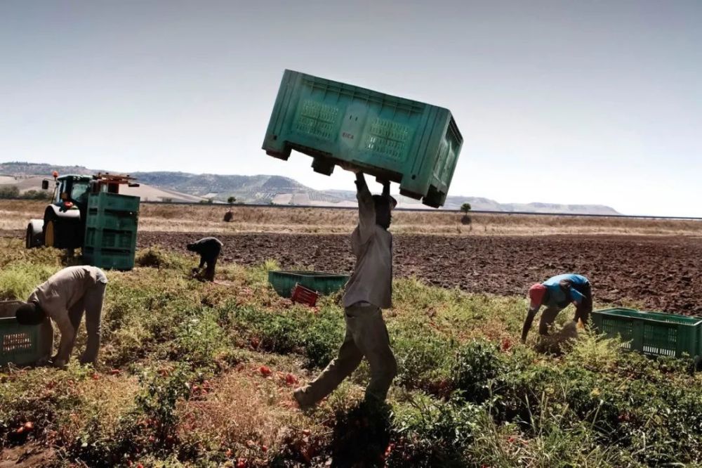 欧洲_时政|富裕欧洲里看不见的角落