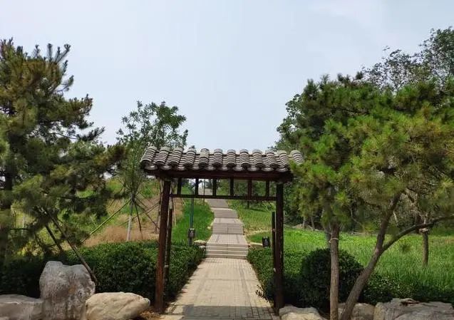 石景山区|森林城市天然氧吧，暑伏之际，来石景山开“森”一夏