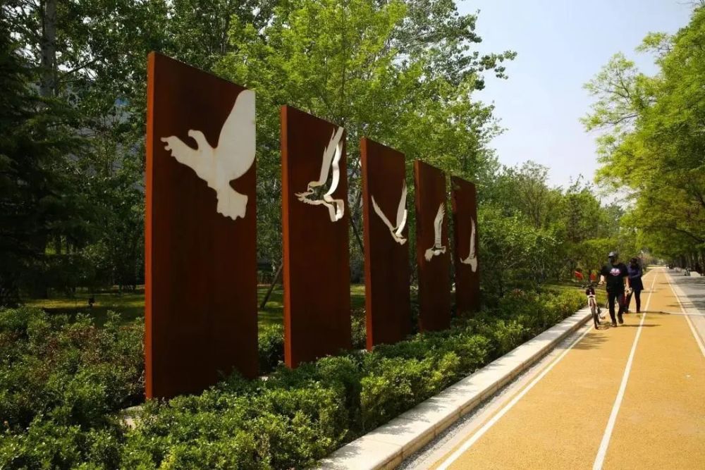 石景山区|森林城市天然氧吧，暑伏之际，来石景山开“森”一夏