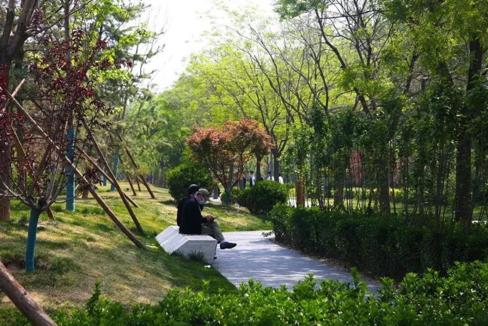 石景山区|森林城市天然氧吧，暑伏之际，来石景山开“森”一夏