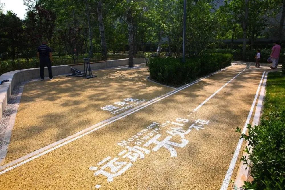 石景山区|森林城市天然氧吧，暑伏之际，来石景山开“森”一夏