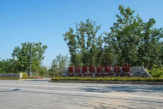 石景山区|森林城市天然氧吧，暑伏之际，来石景山开“森”一夏