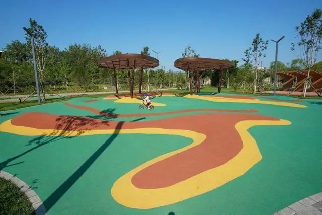 石景山区|森林城市天然氧吧，暑伏之际，来石景山开“森”一夏