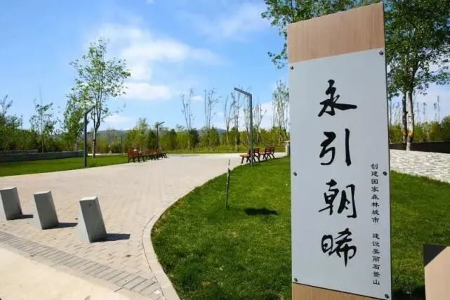 石景山区|森林城市天然氧吧，暑伏之际，来石景山开“森”一夏