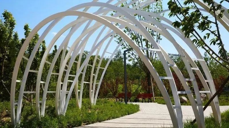 石景山区|森林城市天然氧吧，暑伏之际，来石景山开“森”一夏