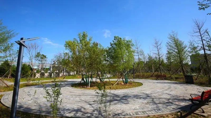 石景山区|森林城市天然氧吧，暑伏之际，来石景山开“森”一夏