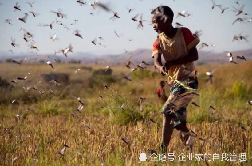 年来|全球面临50年来最严重粮食危机 我国粮食自给率均97％左右！