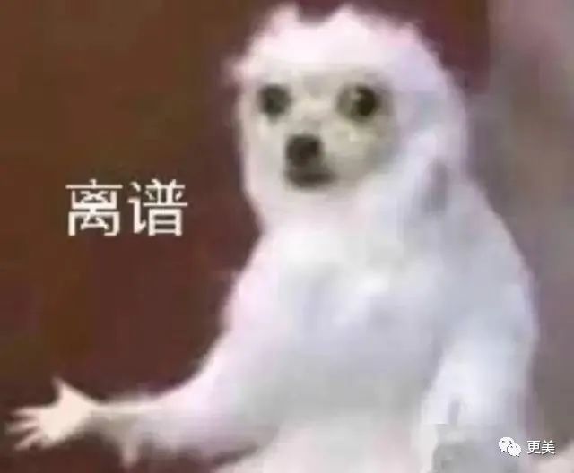 万茜|万茜，以一己之力拉垮浪姐收视的真皇族…