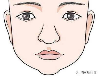 面相学 教你如何看女人的鼻子以及类型 财运 面相