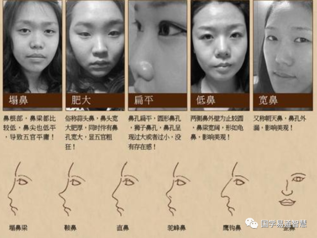 面相学 教你如何看女人的鼻子以及类型 面相 财运