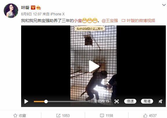 王宝强|王宝强叶璇深夜聚会，十年友谊被挖，这对“兄弟”有点甜！