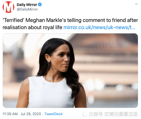 梅根·马克尔|恐怕梅根·马克尔爱上的只是成为一名公主，而不是哈里王子