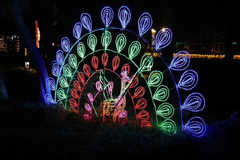 夜经济,聚人气,上海朱家角主推古镇夜游