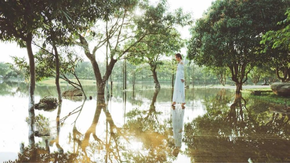 灵魂|灵魂相似的人，总会相逢