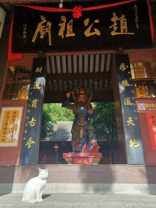 徒步赵公山值真值特别值还没来过的一定要安排