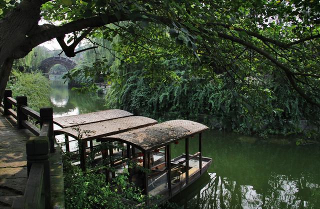 咏蝉|吵闹的知了，却是诗人的寄托，唐代“咏蝉”诗三绝，你最爱哪首