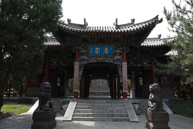 咏蝉|吵闹的知了，却是诗人的寄托，唐代“咏蝉”诗三绝，你最爱哪首