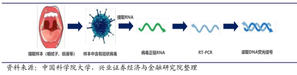 新冠疫情影响下，引燃临床病原微生物诊断百亿市场-寰基集团