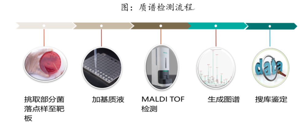 新冠疫情影响下，引燃临床病原微生物诊断百亿市场-寰基集团