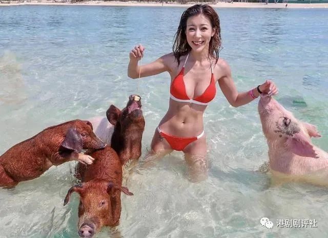 陈婉衡|TVB咪神与男友做高难度健身 疑曝光男友侧面惹对方不开心