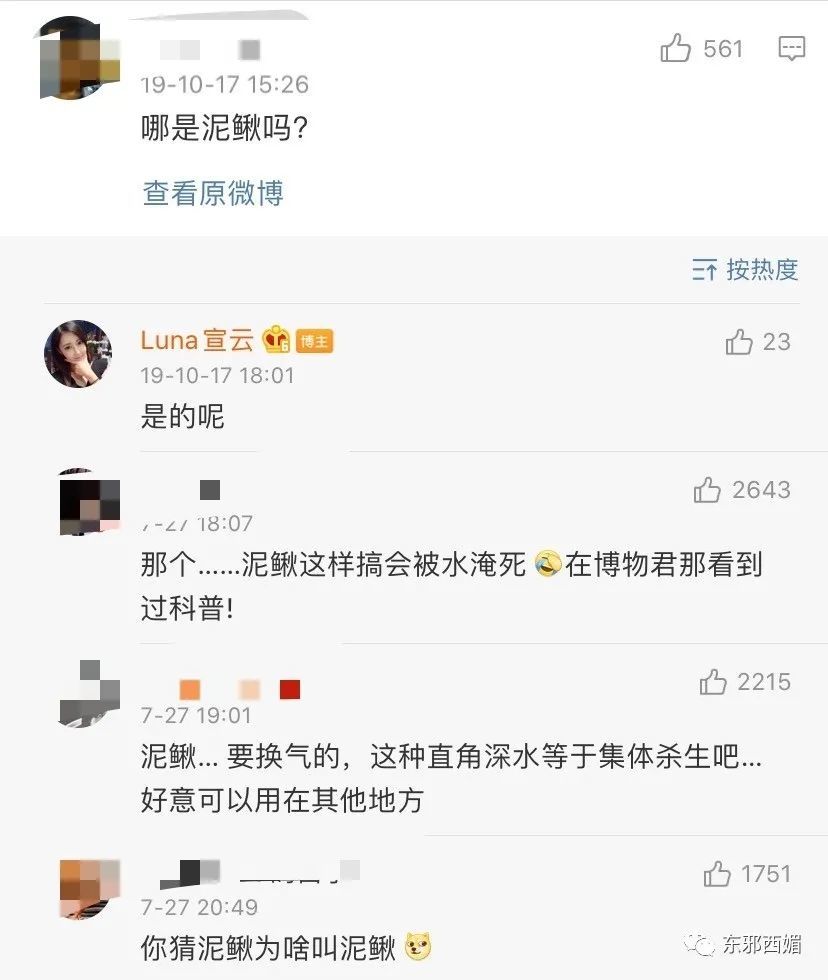 罗志祥|网红共享经济学？中年玩咖男星要找个好归宿，也是不容易啊