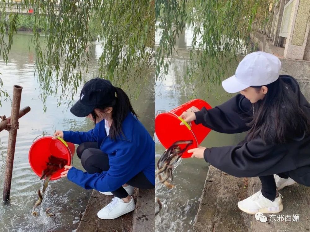 罗志祥|网红共享经济学？中年玩咖男星要找个好归宿，也是不容易啊