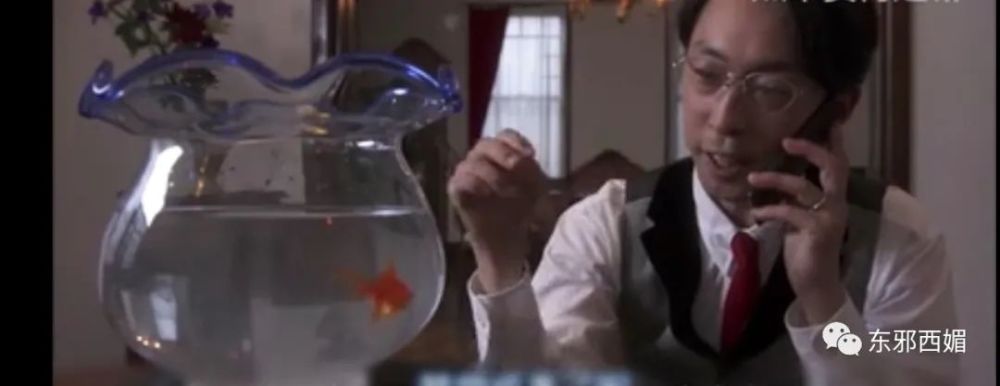 罗志祥|网红共享经济学？中年玩咖男星要找个好归宿，也是不容易啊