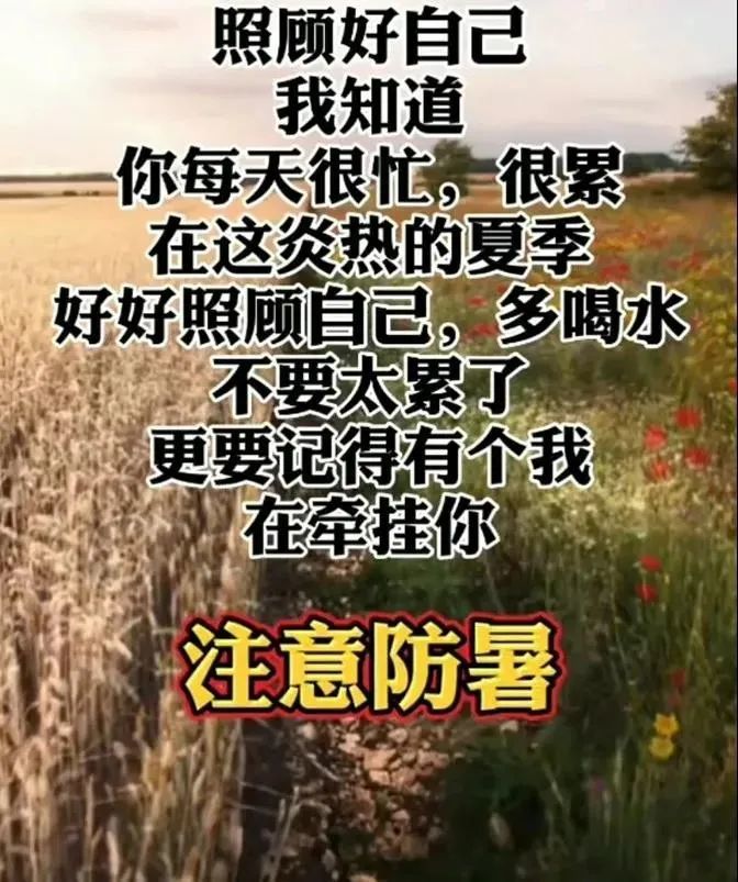 最新有創意的夏日早安問候祝福圖片帶字 8月最新漂亮