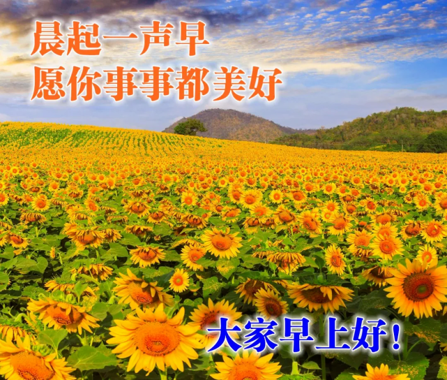 朋友圈新的一天早上好最美祝福语温暖人心的早安祝福语图片合集
