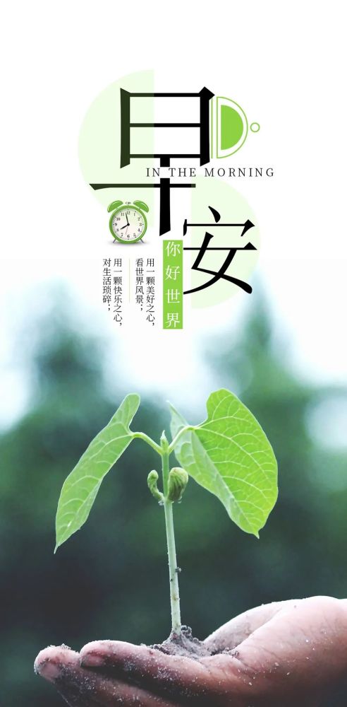 朋友圈最有個性的早安正能量說說經典語錄圖片