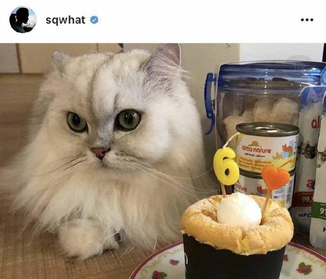 冯德伦|舒淇老公近况曝光！46岁冯德伦胡子花白，与舒淇甜蜜依偎秀恩爱