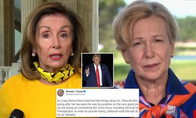 黛博拉·l·伯克斯|白宫新冠专家两头受气：佩洛西嫌她不拆穿特朗普谎言，特朗普骂她直言真相