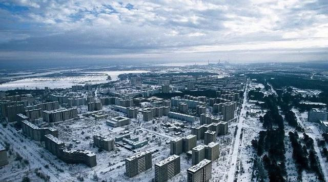 平方|2500平方千米！因核泄漏被人类遗弃，不料成为野生动物的乐园