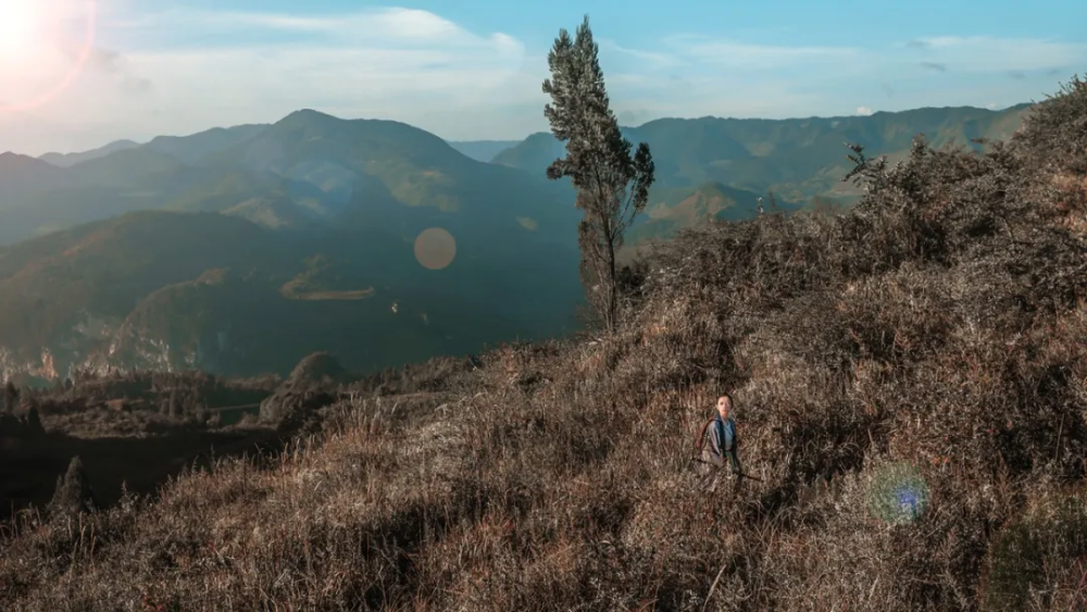 微信公号|惜我者，我惜之；冷我者，我弃之！