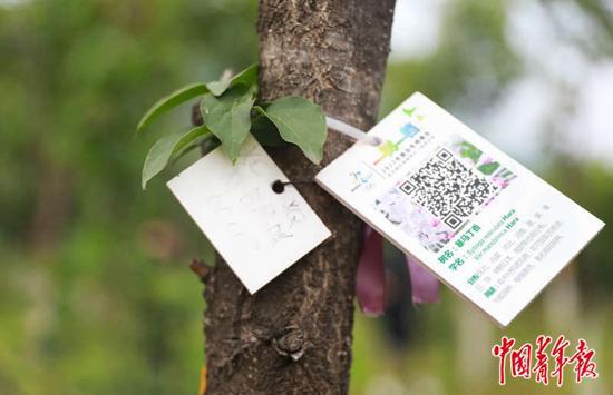 北京冬奥会|从雪道变赛道让荒山成密林 北京冬奥会筹办工作的“可持续”手账