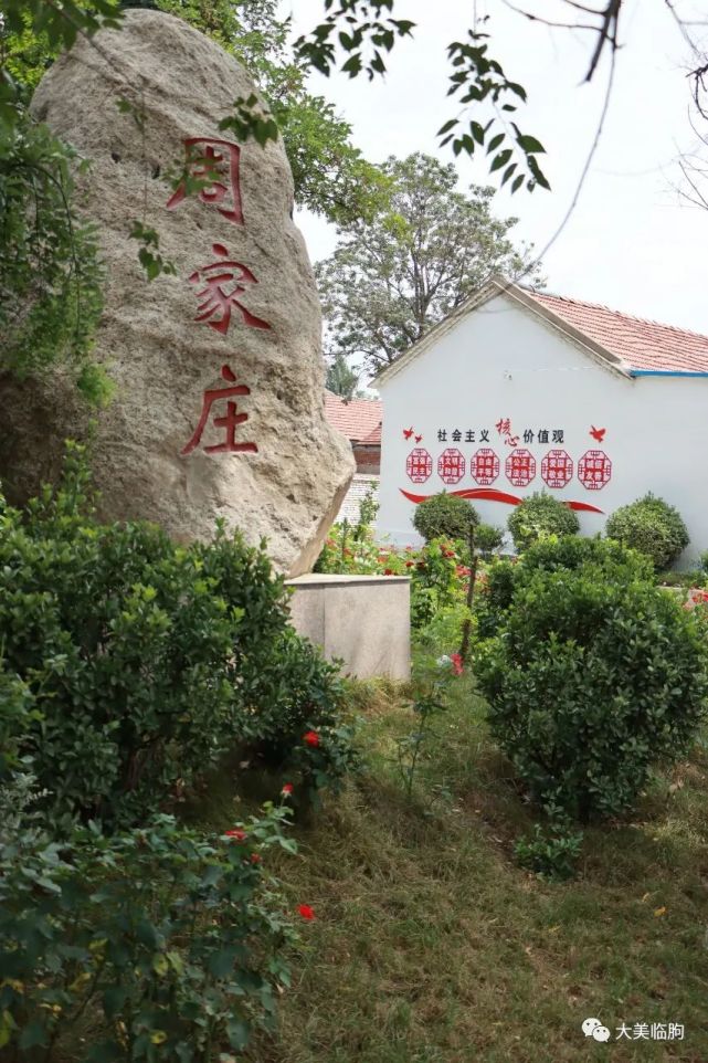 大美临朐周家庄村