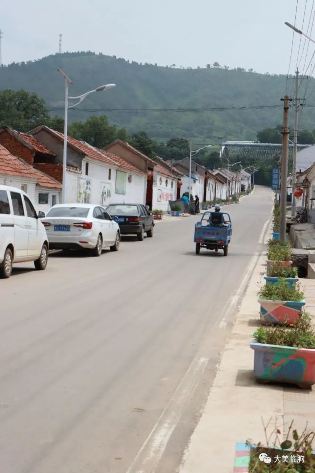 大美临朐周家庄村