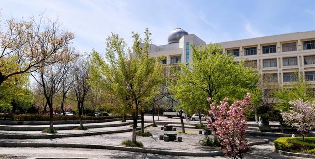 泰山学院2020年招生计划,2019年录取分数