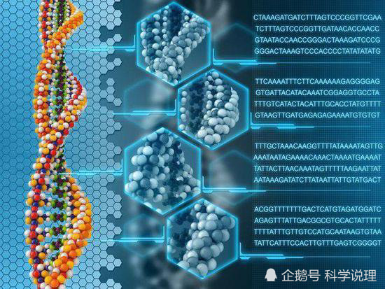 蝙蝠|6种蝙蝠高质量基因组公开，蝙蝠免疫病毒的能力，终于有了答案