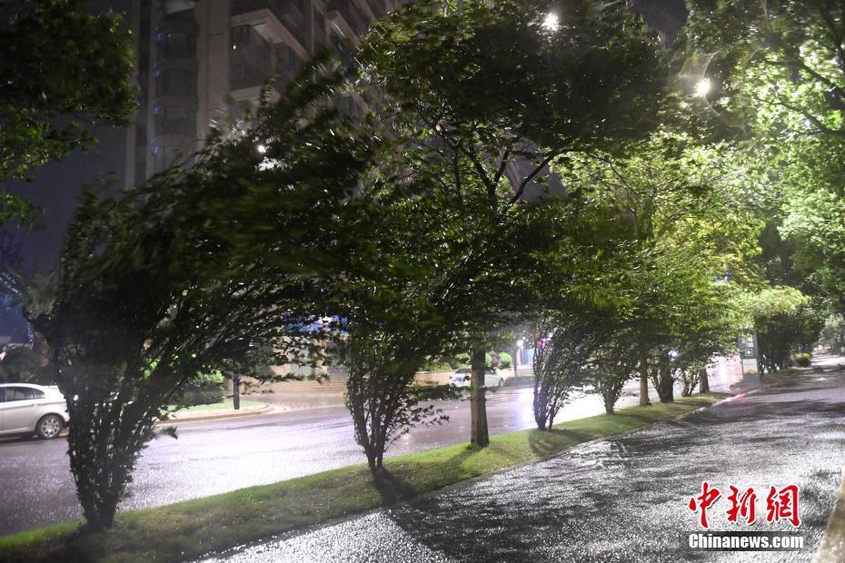 直击黑格比浙江乐清疾风骤雨来势凶猛