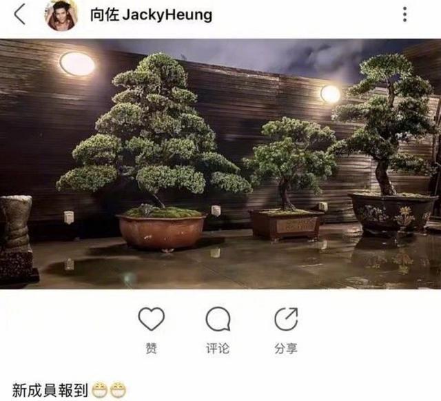 郭碧婷|向佐飞台北陪郭碧婷待产？向太默认并透露不好消息，结婚登记过期