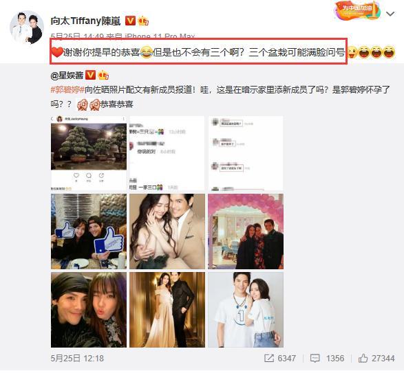 郭碧婷|向佐飞台北陪郭碧婷待产？向太默认并透露不好消息，结婚登记过期