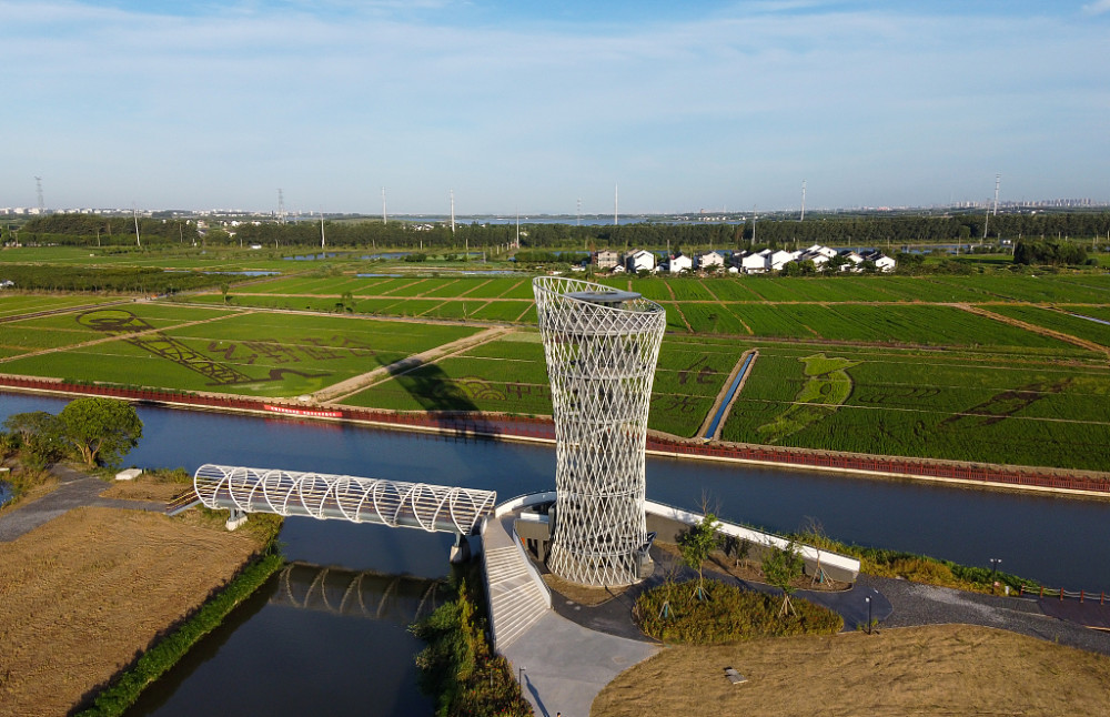 江苏昆山尚明甸 3d稻田艺术景观惊艳亮相 稻田种出田园诗画_腾讯新闻