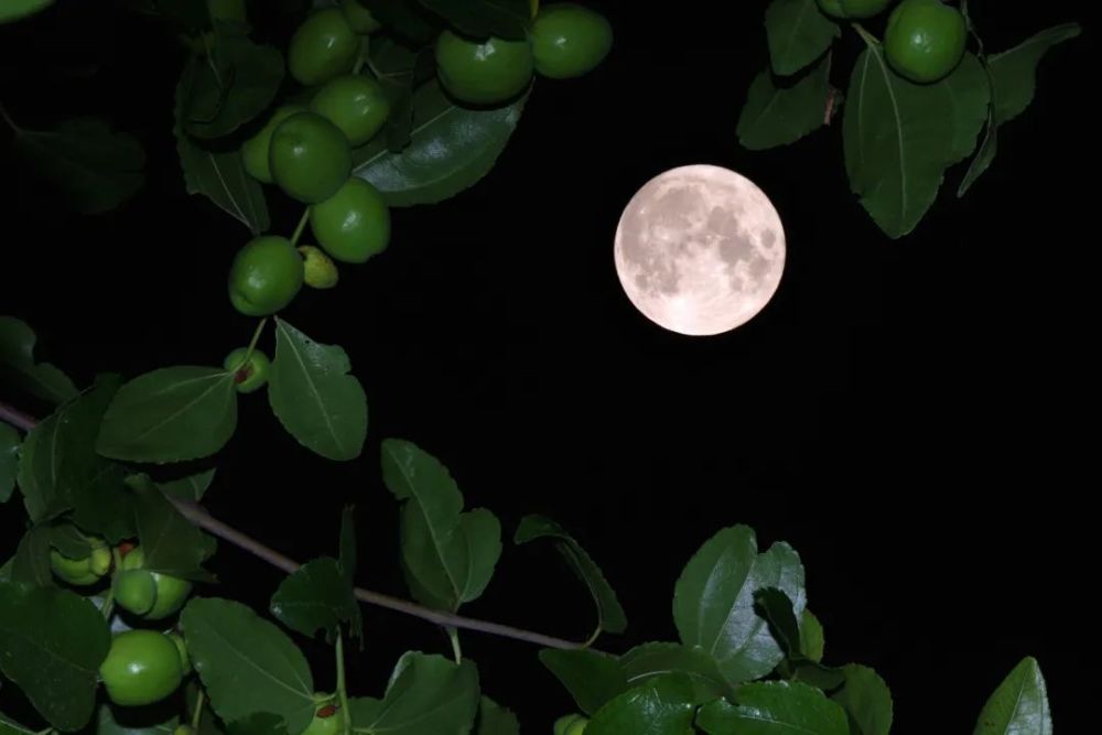 北京|100年仅6次！我们有幸遇到了，高清美图