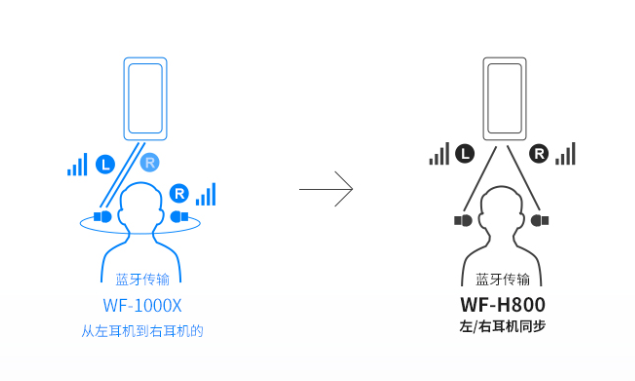 颜即是正义,索尼wf