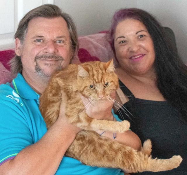 橘猫|机灵！英国橘猫从新主人家出逃，花7周独行40英里，重回旧主人家