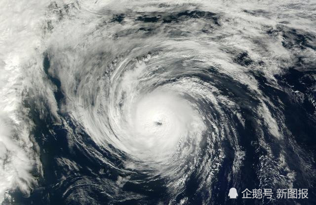 黑格比|台风“黑格比”的名字，是怎么来的？