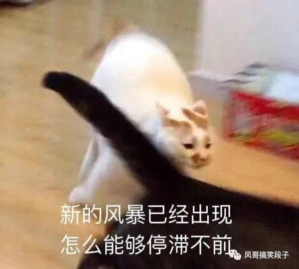 һ̣㲻Ц 