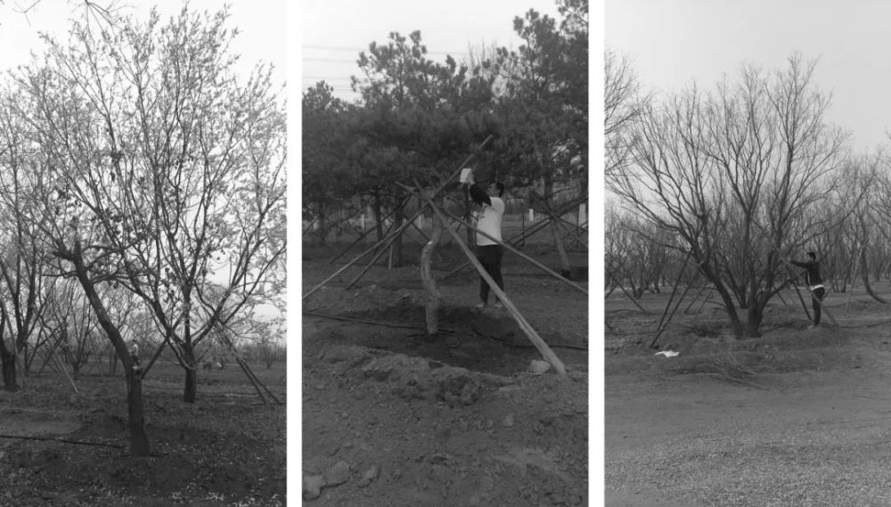 公园|城市人文空间·中隐于市的画卷生活